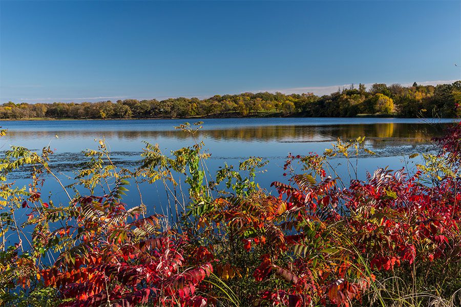 Detroit Lakes MN - Lake View With Blue Sky and Red Foliage Leaves in Foreground